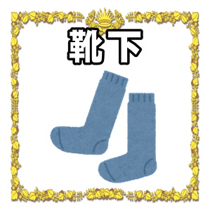 5本指の靴下