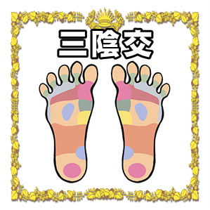 三陰交
